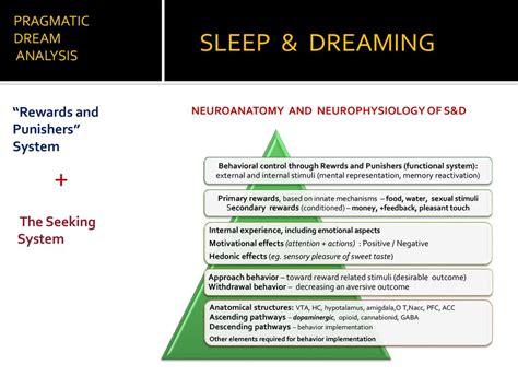 Analyzing the Emotional Impact of Dreaming About a Descending Arboreal Limb