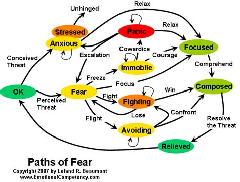 Analyzing the Emotions: Fear and Anxiety in the Dream