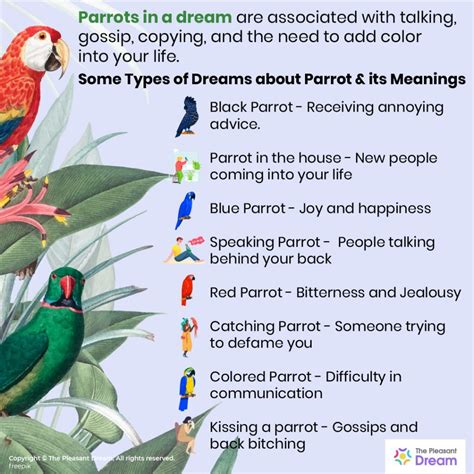 Analyzing the Emotions and Feelings Associated with Dreams of Eliminating a Parrot