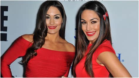 Analyzing the Figure of Bella Twins