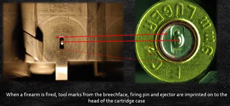 Analyzing the Fractured Firearm in the Dream