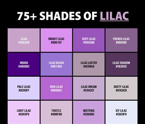 Analyzing the Hues and Tones of Lilac Reveries