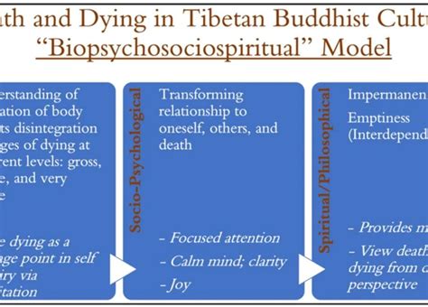 Analyzing the Impact of Cultural Beliefs on Interpreting Dreams