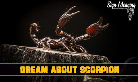 Analyzing the Possible Personal and Emotional Interpretations of Scorpion Pursuit Phantasms