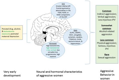 Analyzing the Psychological Effects of Dreams Portraying Women as Aggressive