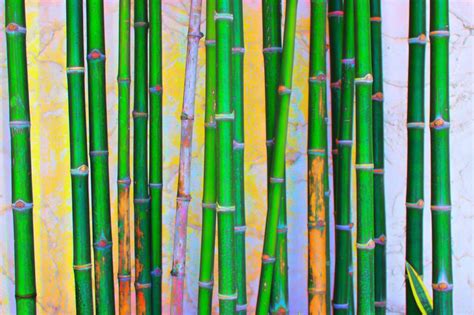 Analyzing the Psychological Interpretations of Cutting Bamboo Dreams