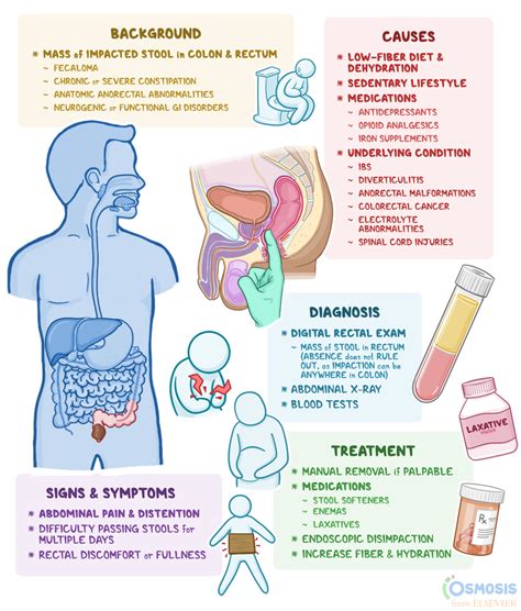 Analyzing the Psychological Roots: Exploring the Causes of Fecal Retention Dreams