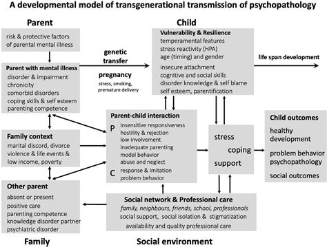 Analyzing the Relationship Between Dreams of Surrendering an Infant and Parental Anxiety