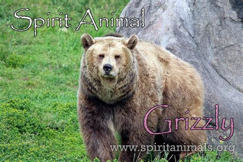 Analyzing the Significance of Grizzly Bears as Spirit Animals in Dreams