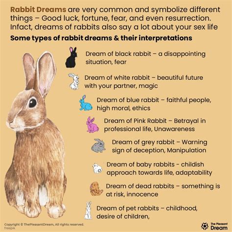 Analyzing the Subliminal Influences behind Rabbit Dreams