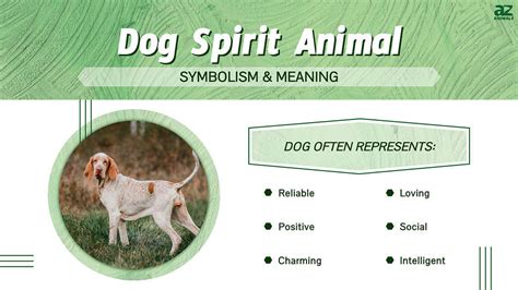 Analyzing the Symbolic Characteristics of Dogs