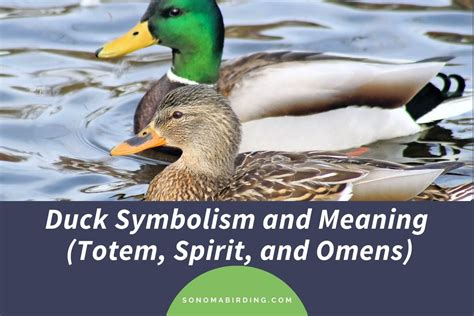 Analyzing the Symbolism of Eliminating Waterfowl in Dreamscapes