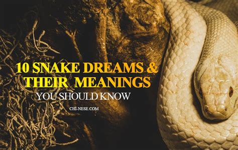 Analyzing the Various Kinds of Serpent Dreams and Their Meanings