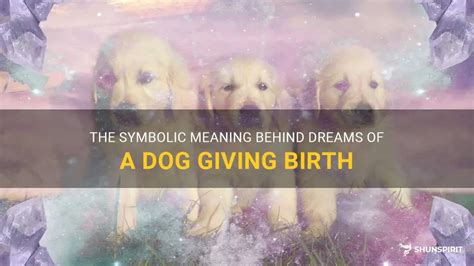 Analyzing the Various Potential Significations of Canine Birthing Dreams