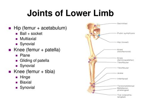 Analyzing the Various Types of Marks on Your Lower Limbs