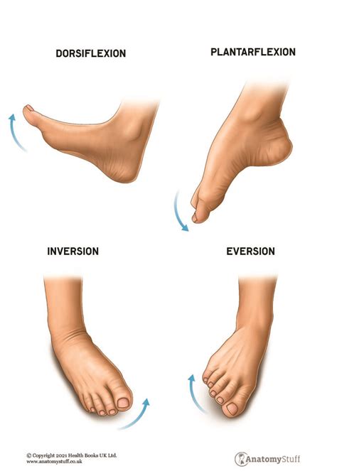 Anatomical Associations: Feet as a Symbol of Movement and Progress