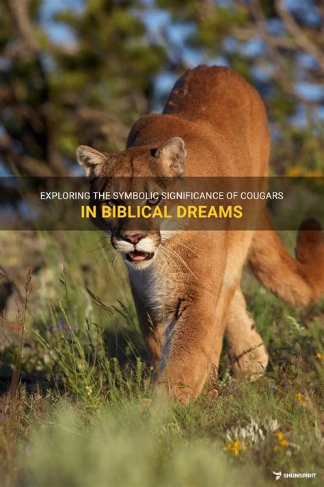 Ancestral Connections: Exploring the Cultural Import of Cougar Dreams