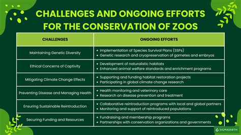 Animal Education: The Impact of Zoos on Conservation Efforts