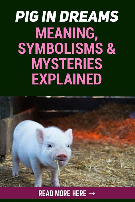 Animal Symbolism: Comparing Dreaming about a White Pig with Other Animal Symbols