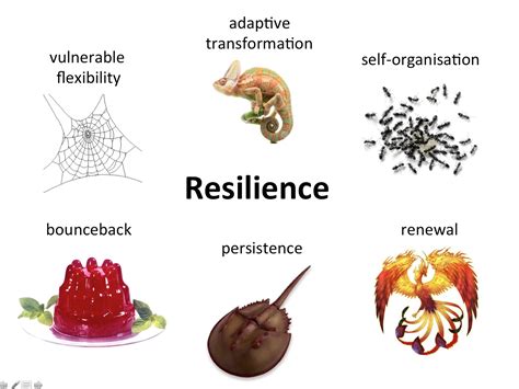 Ants as Representations of Persistence and Resilience