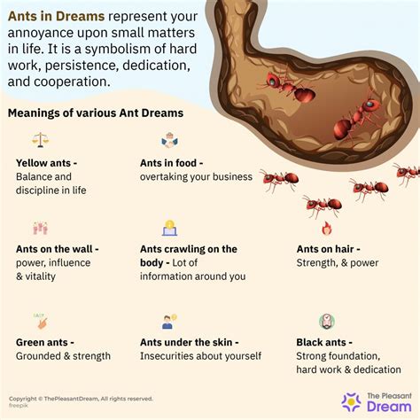 Ants in Dreams: A Sign of Hard Work and Persistence