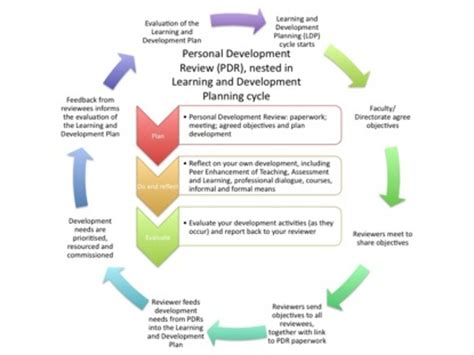 Applying the Analysis of the Vision to Personal Development and Comprehension