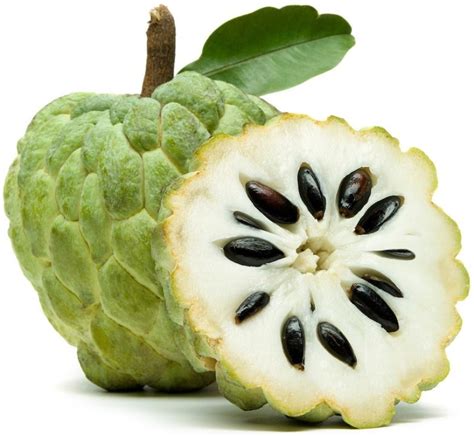 Are Custard Apple Dreams Predictive? Examining the Prophetic Potential of Dreaming of Custard Apples