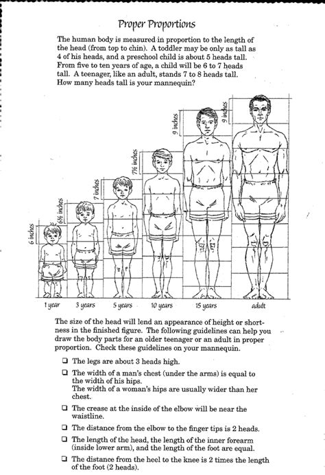 Artist's Height and Physique