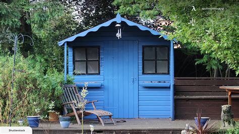 Assessing the Condition of the Shed