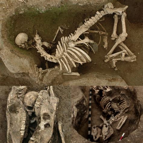 Astonishing Archaeological Findings: Unveiling an Enigmatic Burial