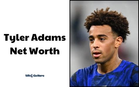 Avery Adams Financial Success and Net Worth Estimates