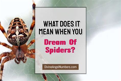 Awakening from the Dreamweb: Using Spider Dreams as Catalysts for Personal Growth and Change