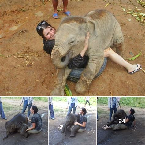 Awe-inspiring Lessons from a Young Pachyderm's Playful Learning Progression