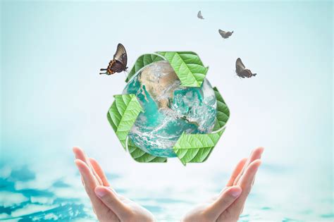 BPA-Free and Eco-Friendly Options: Supporting a Healthy Planet