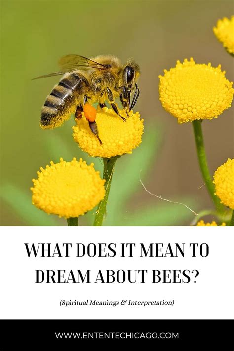 Bees and Beyond: Exploring the Connection between Honey, Bees, and Interpretation of Dreams