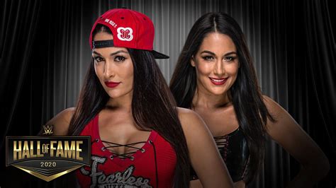 Bella Twins: A Source of Inspiration