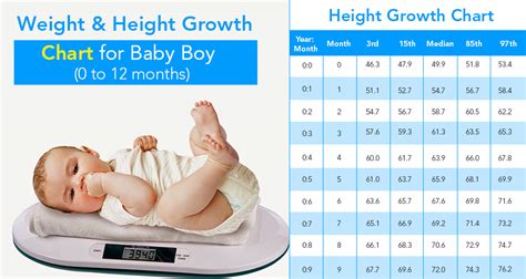 Beloved Infant: Tallness and Physique