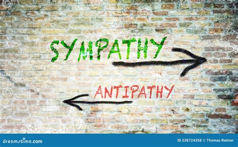 Between Sympathy and Antipathy: Our Complex Relationship with Villains