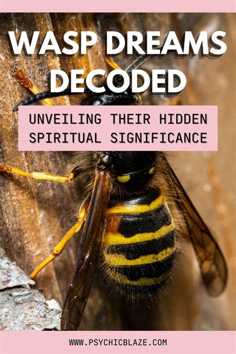 Beyond Dreams: Real-Life Encounters with Wasps and Their Psychological Significance