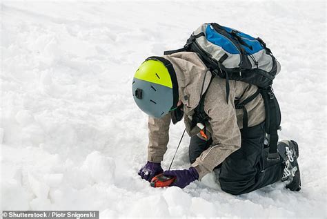 Beyond Survival: Revealing Secret Desires Through Avalanches