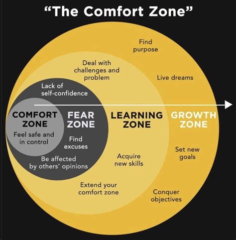 Beyond the Comfort Zone: Embracing Fear in Pursuit of Aspirations