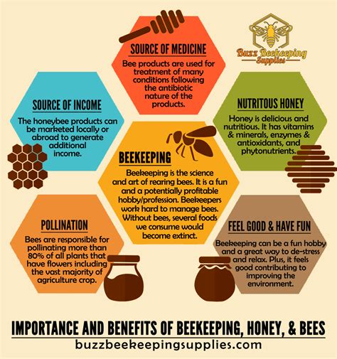 Beyond the Discomfort: Advantages of Beekeeping for Well-being and Ecology