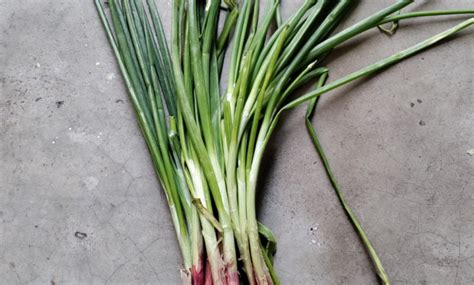 Beyond the Layers: Unveiling the Nutritional Powerhouse of Onions