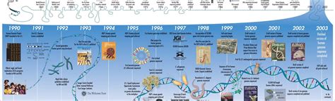 Biological Insights: Years and Vertical Measurement