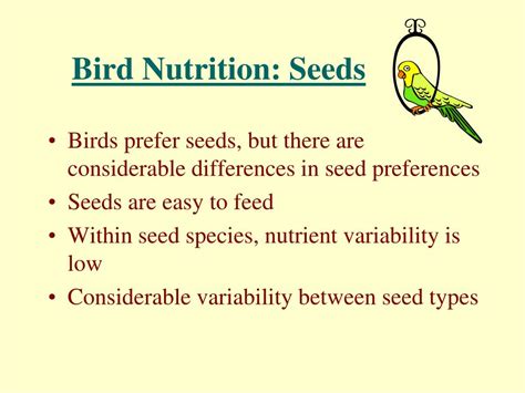 Birds and Nourishment: Exploring the Intrinsic Connection