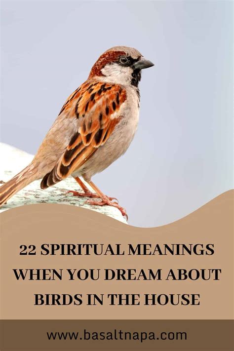 Birds in Dreams: Potential Warnings and Negative Interpretations