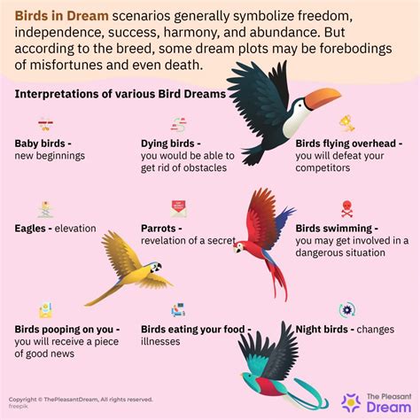 Birds in Dreams: Symbols and Significance