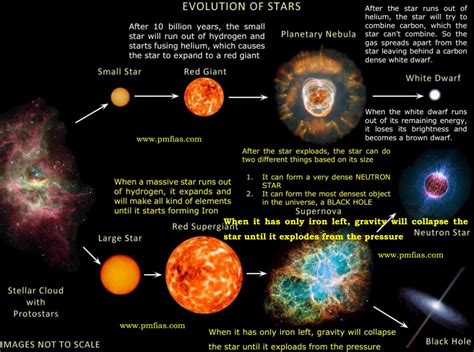 Birth Details of the Enigmatic Star