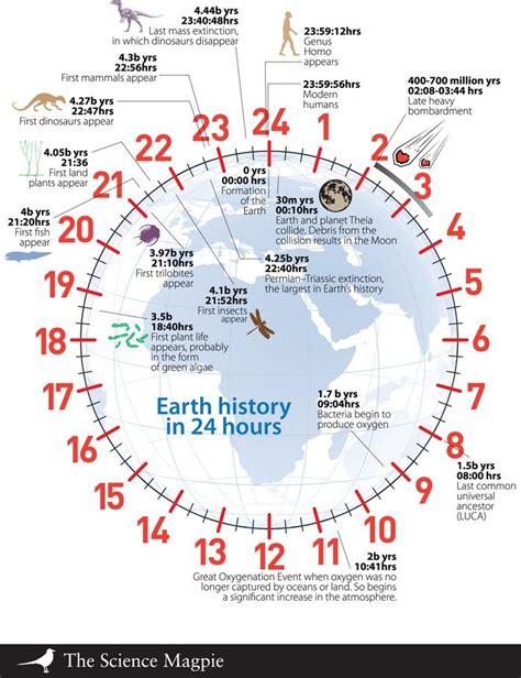 Birth Information and Time on Earth