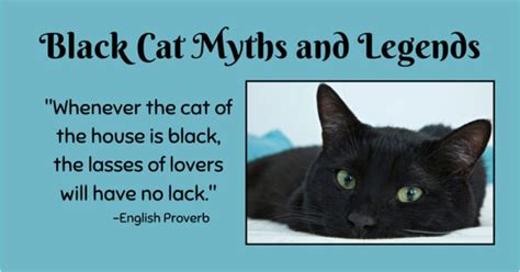 Black Cats in Mythology: From Ill Fortune to Symbolic Significance